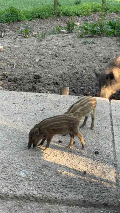 Sport & Freizeit Natur-Resort Tripsdrill