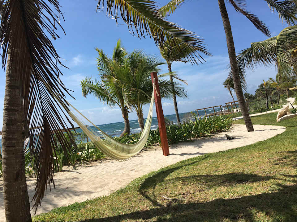 Gartenanlage Akumal Bay Beach & Wellness Resort