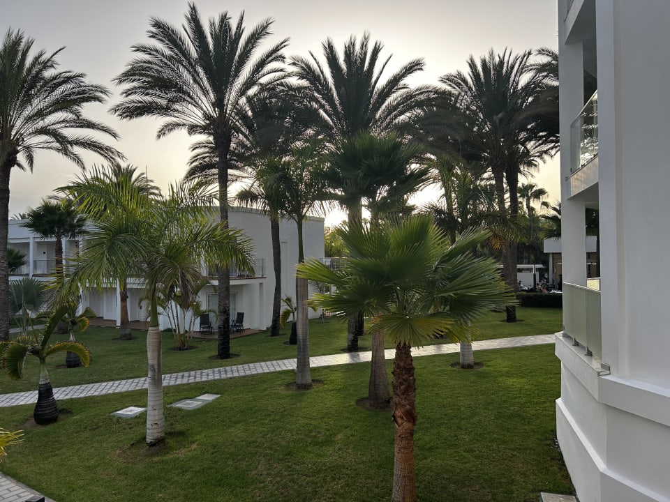 Ausblick Hotel Riu Palace Meloneras