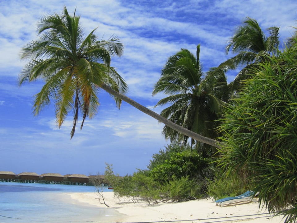 Aussicht rechts von uns Meeru Maldives Resort Island