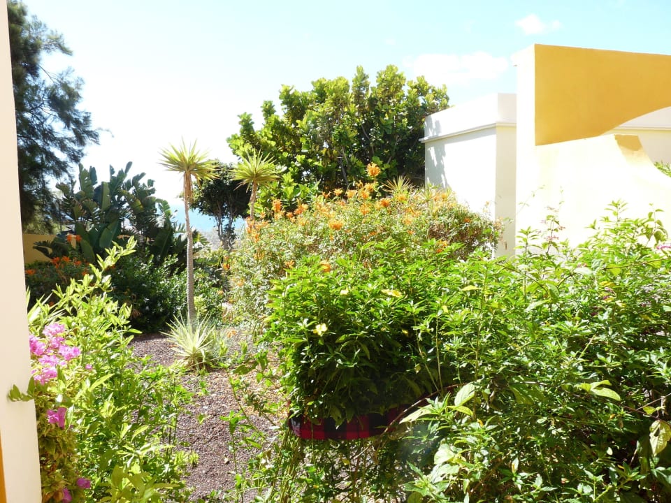 Zimmerausblick AluaVillage Fuerteventura