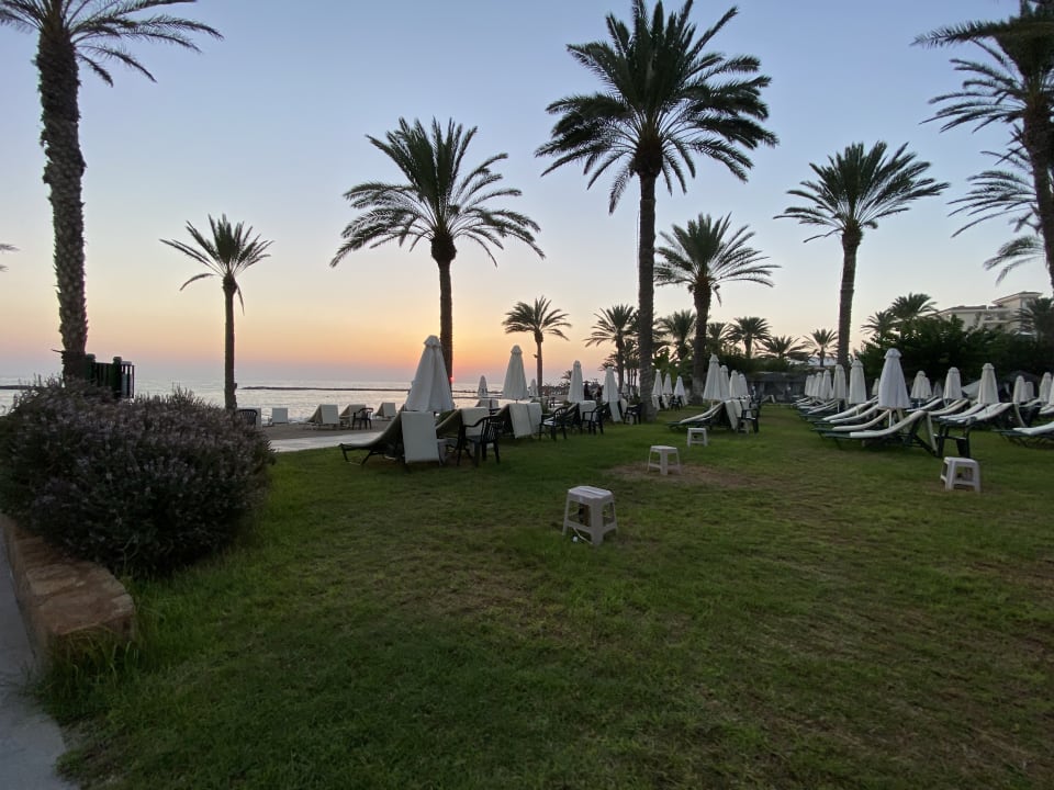 Gartenanlage TUI BLUE Pioneer Beach