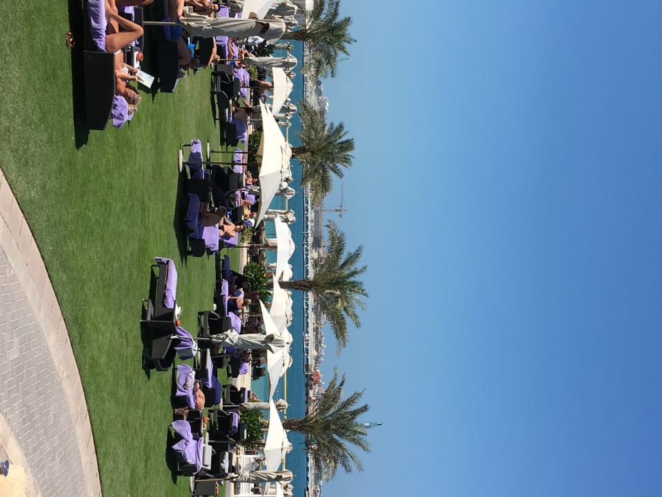 Gartenanlage The Westin Dubai Mina Seyahi Beach Resort & Marina