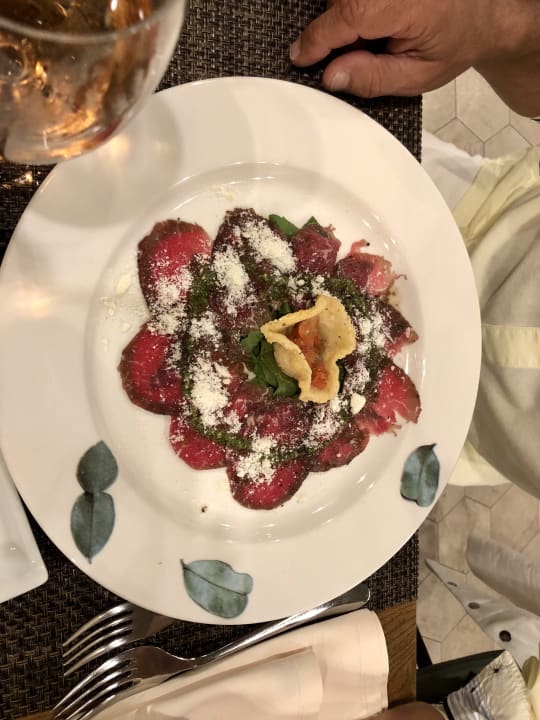 Gastro Acanthus Cennet Barut Collection