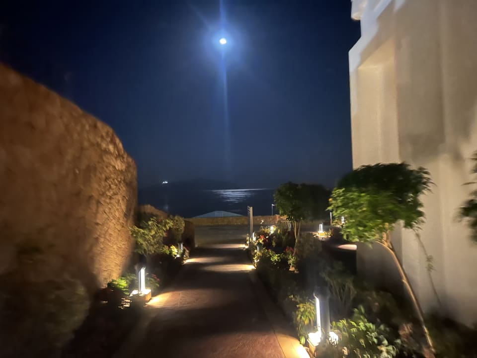 Ausblick Pickalbatros Palace Resort