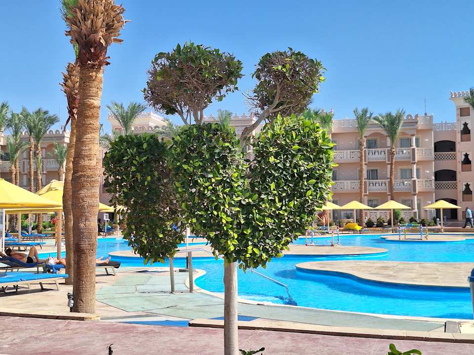 Pool Pickalbatros Palace Resort