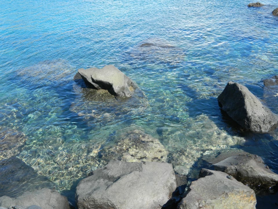 Wunderschöner Strand und warmer Atlantik Hotel Riu Palace Tenerife