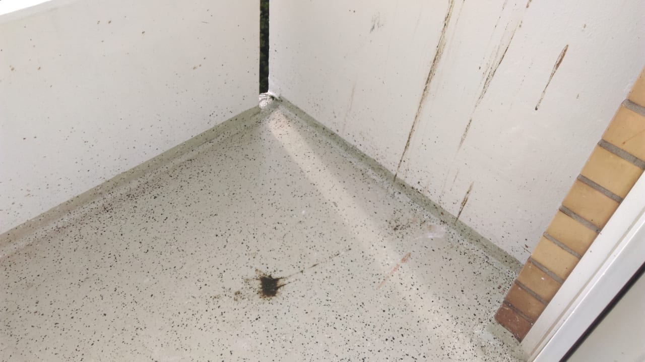 Zimmer Ferienwohnungen Ferienpark Weissenhäuser Strand