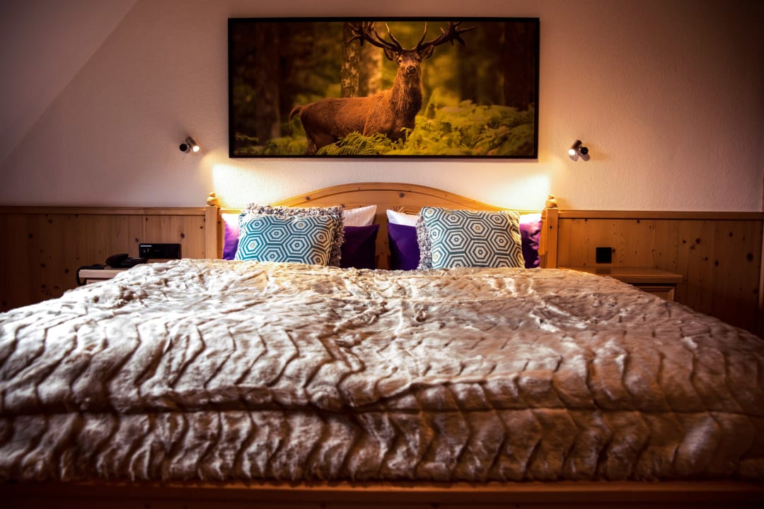 Zimmer Jagdschloss Windenhütte