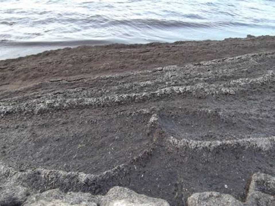 Müll Strand Alassio Hotel and Thalasso