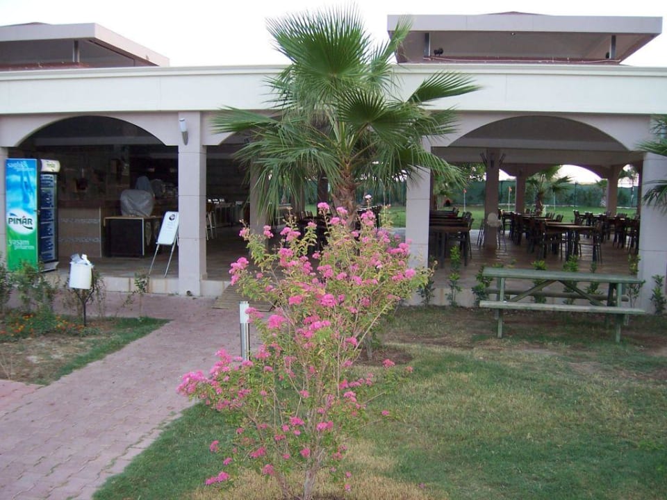 Snackbar am Pool Hane Family Resort