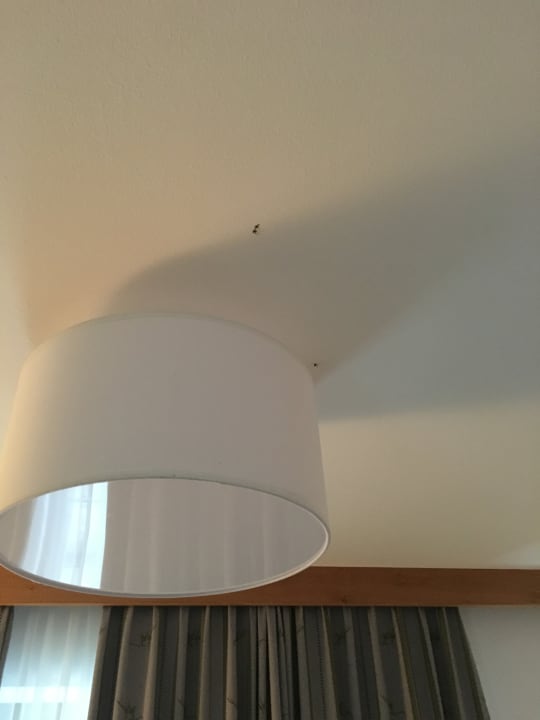 Zimmer Hotel Alphof Alpbach