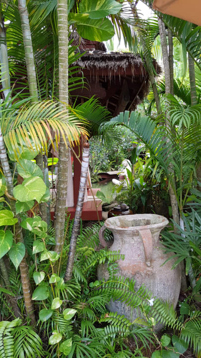 Gartenanlage Zazen Boutique Resort & Spa
