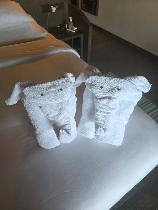 Zimmer Jawakara Islands Maldives