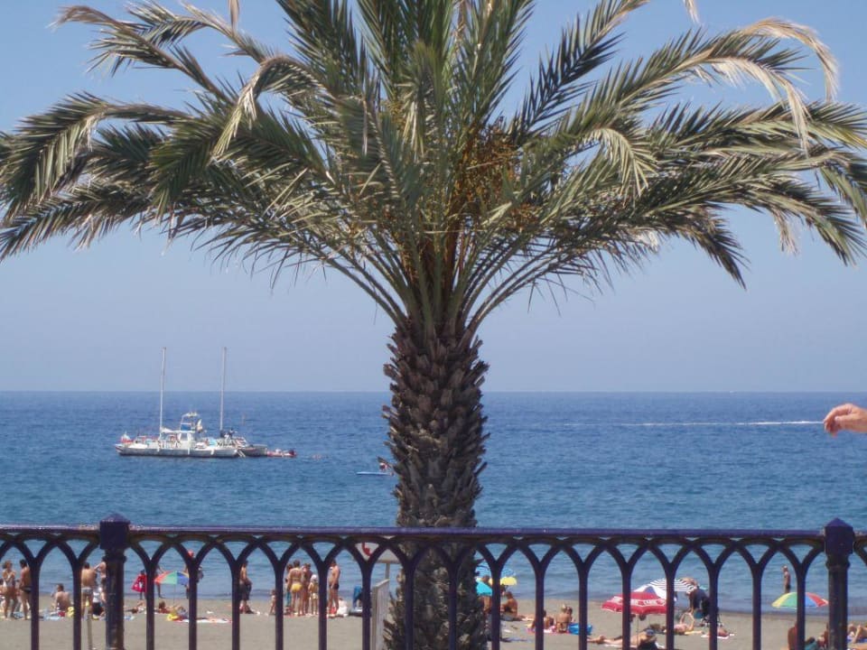 Palme am Strand LIVVO Costa Taurito