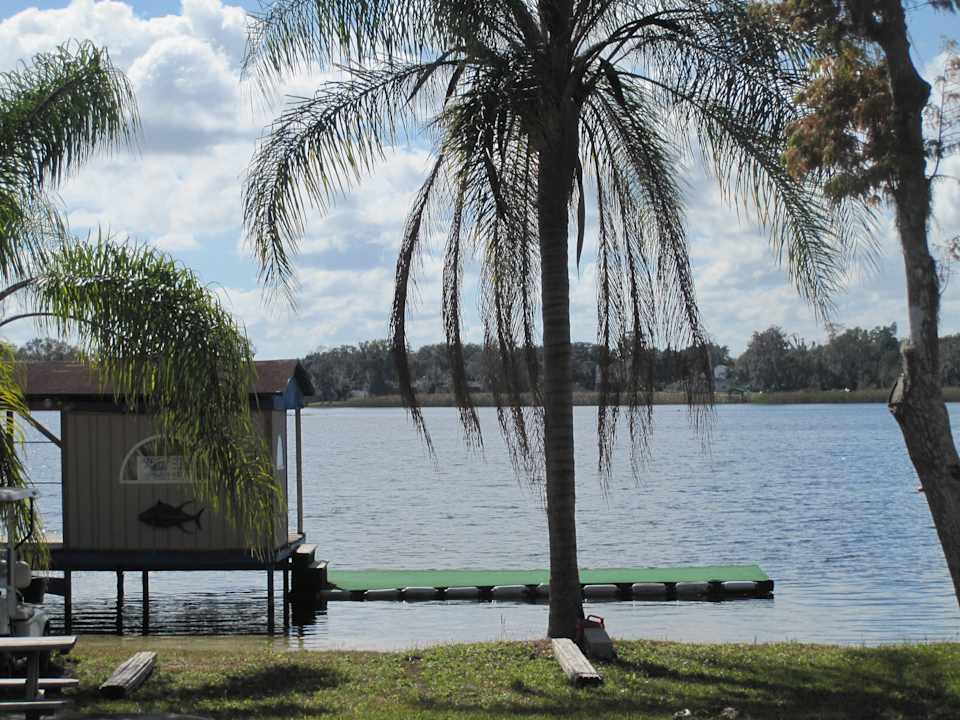 Palmen am See Hotel Howard Johnson Express Kissimmee