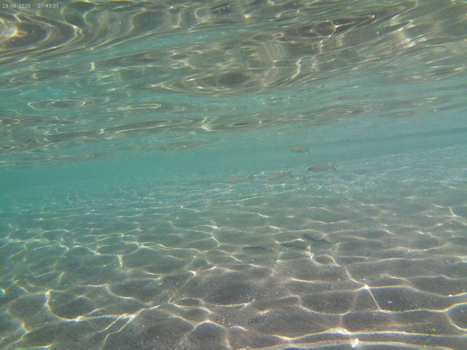 Strand Golden Coast Hotel & Bungalows