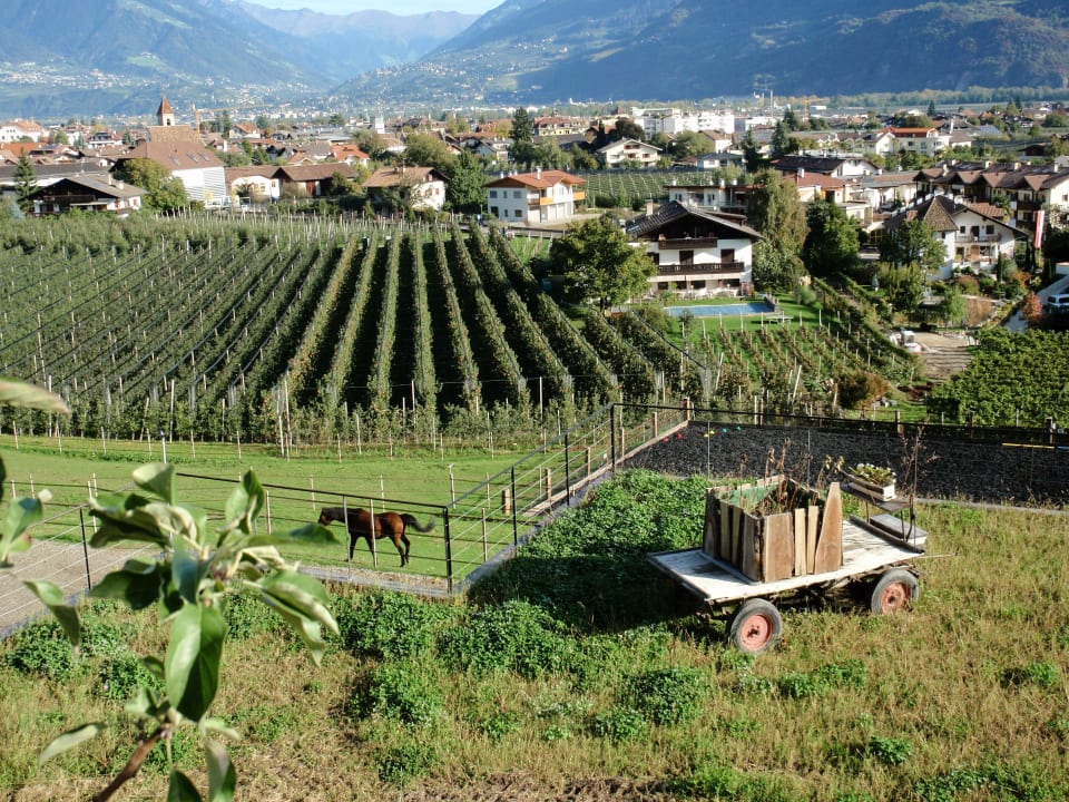 Ausblick von der Terrasse Garni Hotel Katzenthalerhof