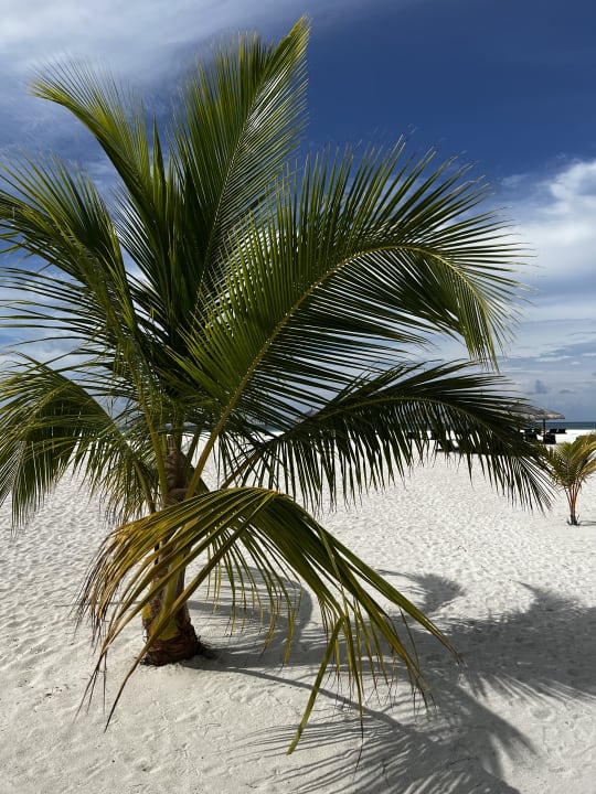 Strand Constance Moofushi Maldives