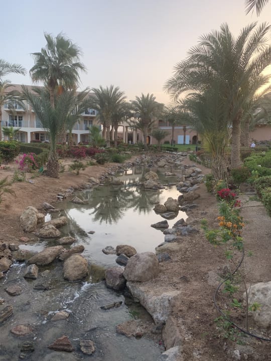 Gartenanlage Mövenpick Resort & Spa El Gouna