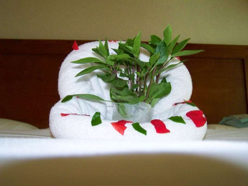 Betthupferl Ghazala Gardens