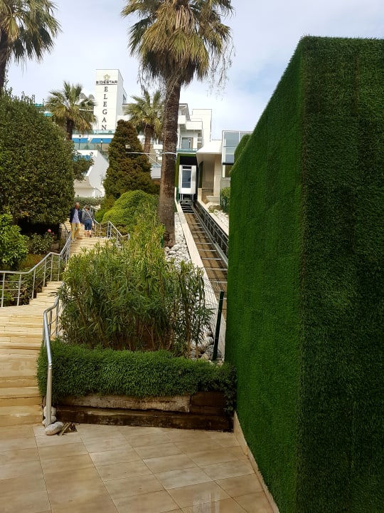 Gartenanlage Side Star Elegance