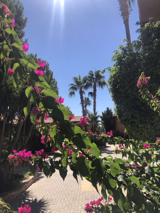 Gartenanlage Club Turtas Beach Hotel