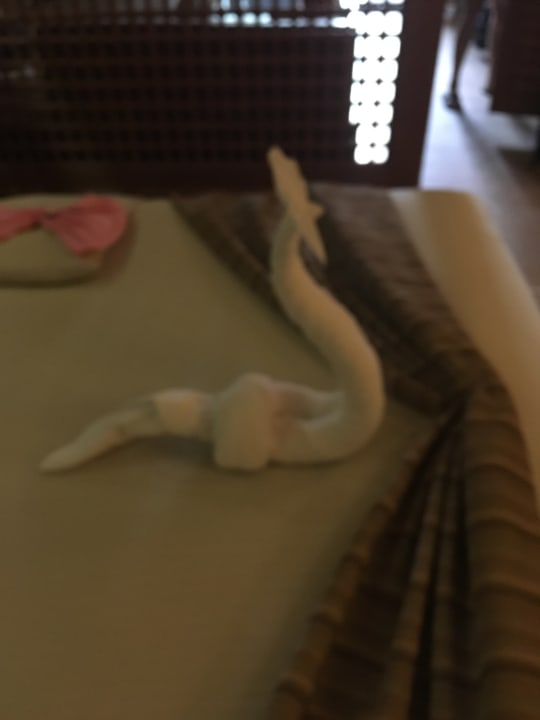 Zimmer Grand Waterworld Makadi & Family Star Makadi