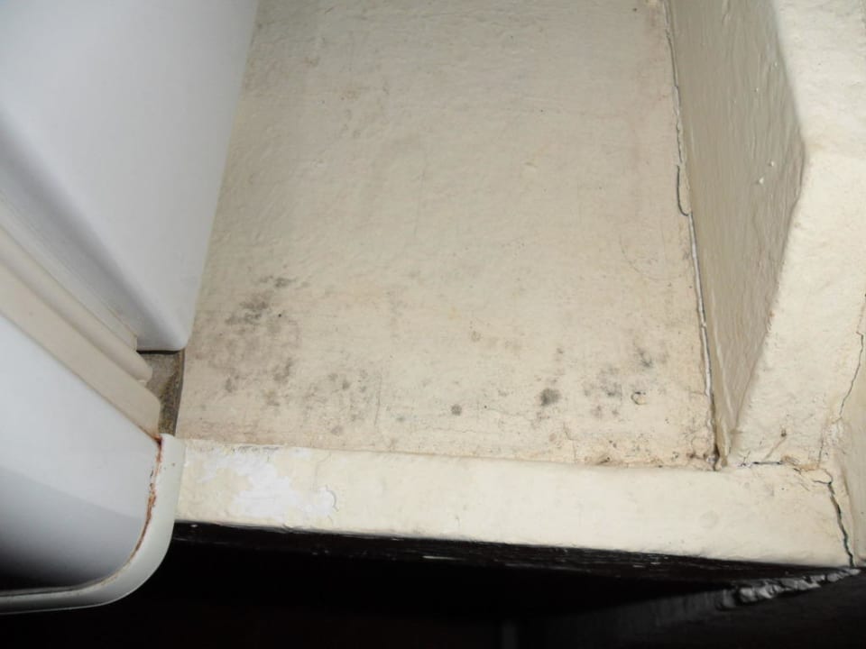 Schimmel neben dem Kühlschrank Ali Baba Palace Hotel