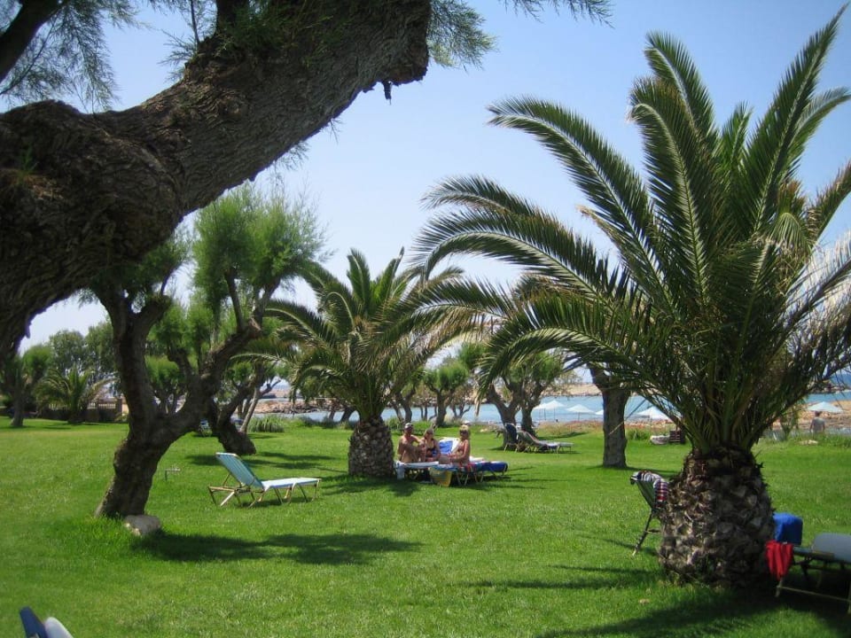 Parkanlage Phãea Cretan Malia