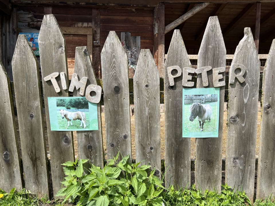 Sport & Freizeit Alphotel Tyrol