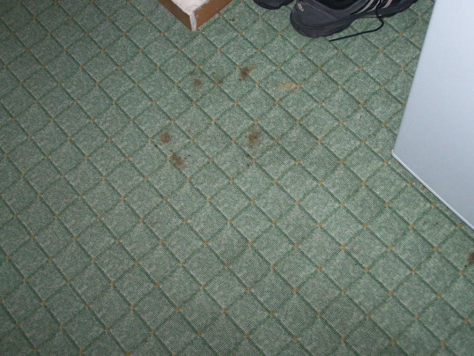 Teppich Armas Gül Beach