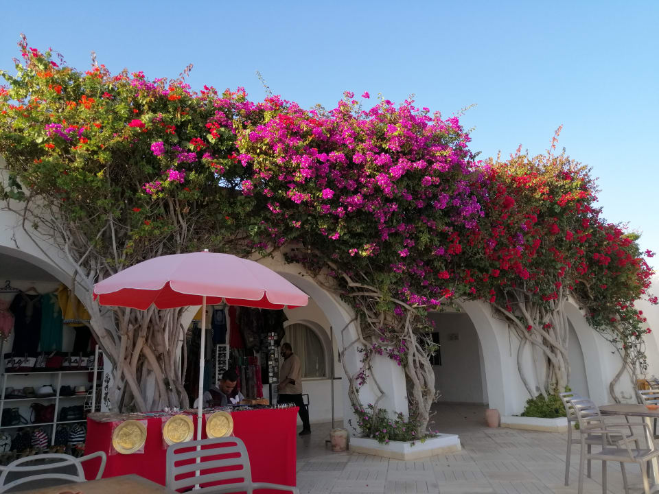 Pool Hotel Seabel Rym Beach Djerba