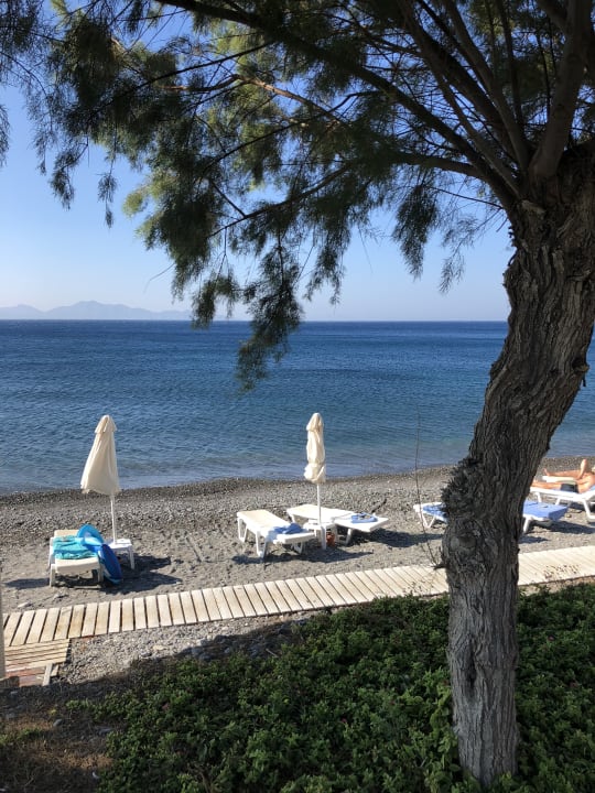 Strand Dimitra Beach Hotel & Suites
