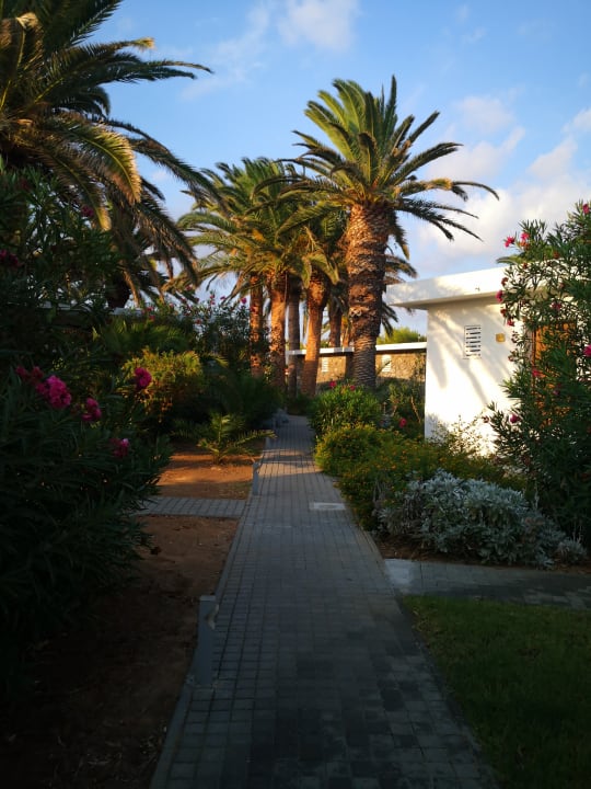 Gartenanlage Civitel Creta Beach