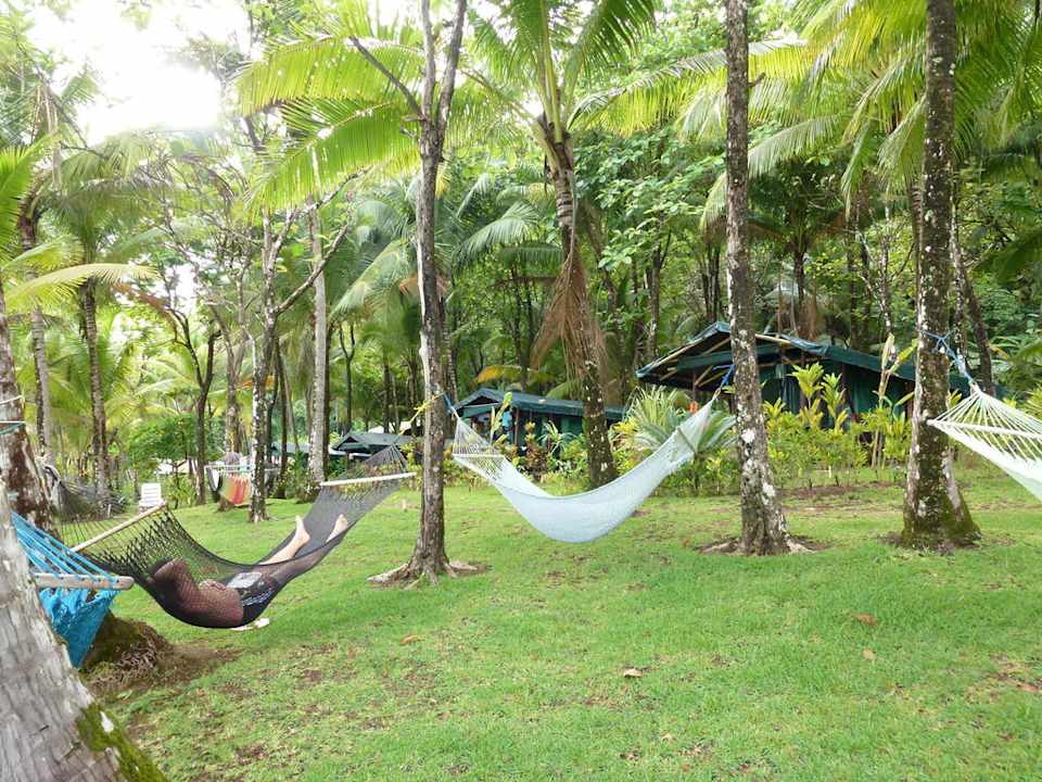 Hängematten - laden überall zum relexen ein La Leona Ecolodge