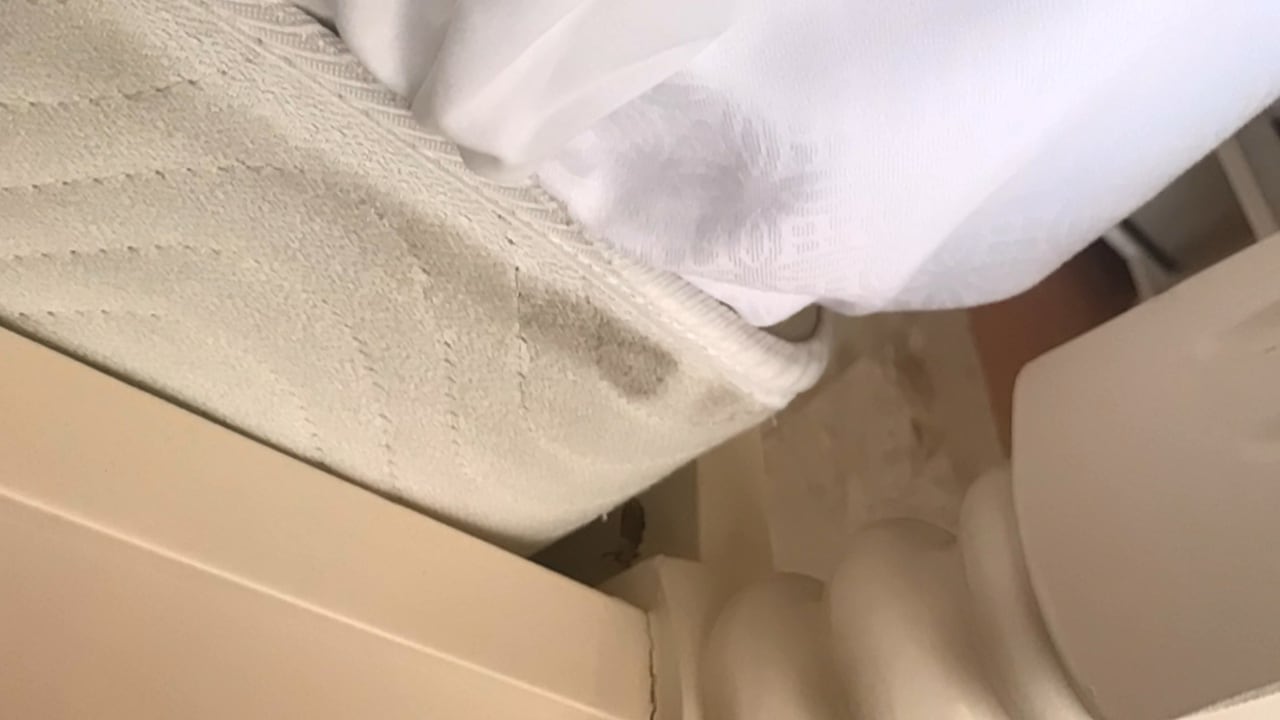 Zimmer Bahia Principe Grand Samana - Adults Only