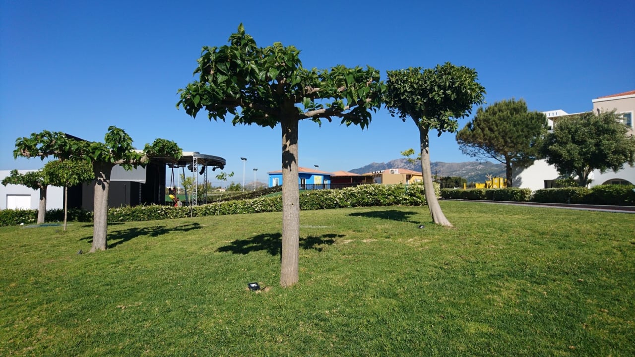 Garten Atlantica Marmari Palace