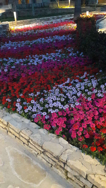 Gartenanlage Arum Barut Collection