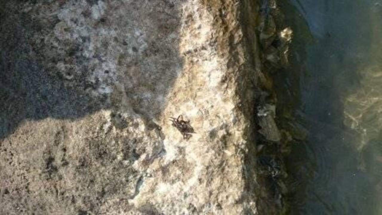 Krebs  Park Hotel Serena