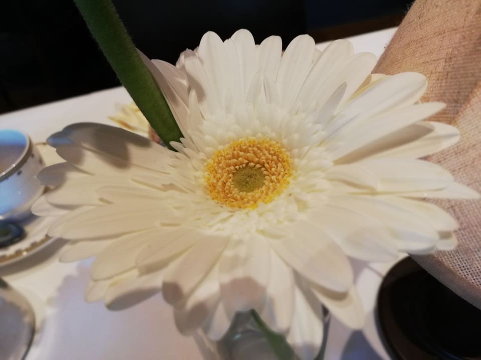 Gastro Hotel Bell Rock Europa-Park