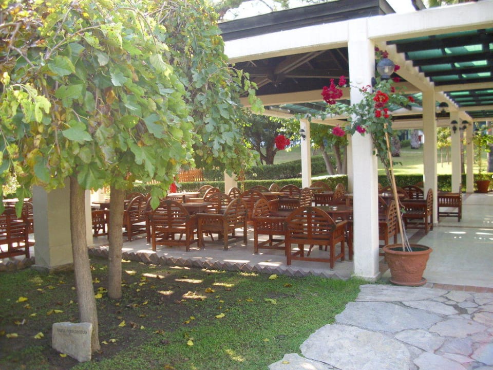 Sitzgelegenheiten Mirage Park Resort