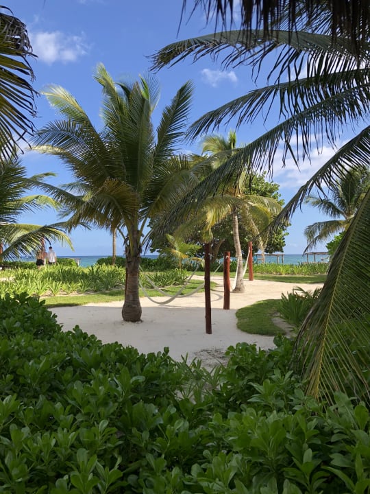 Gartenanlage Akumal Bay Beach & Wellness Resort