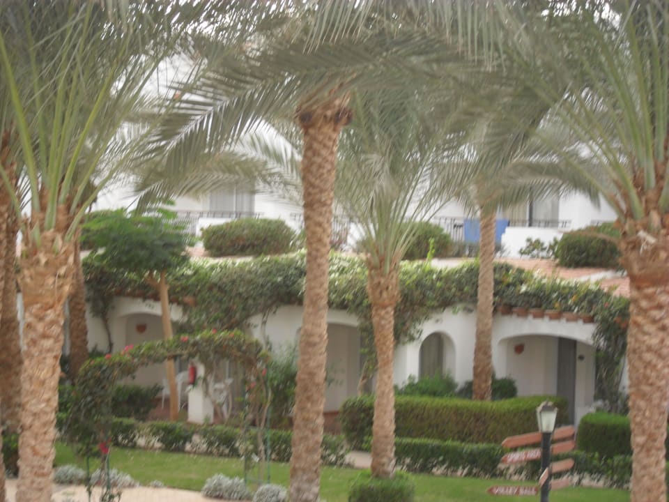 Ogród JAZ Fanara Resort