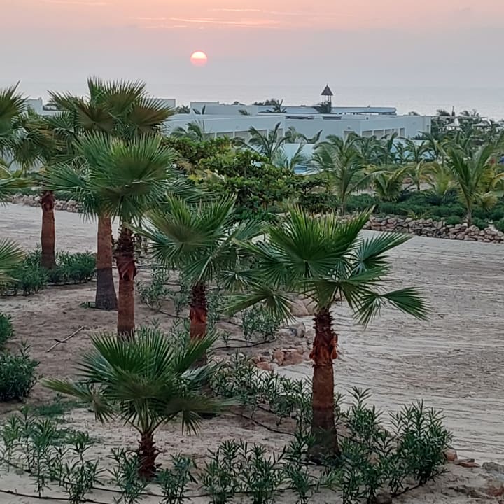 Ausblick Hotel Riu Palace Boavista