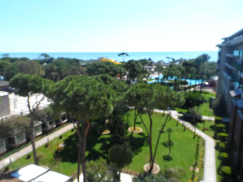 Ogród Papillon Ayscha