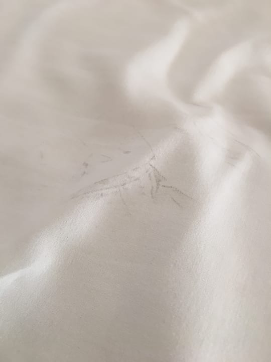 Zimmer Starlight Resort Hotel