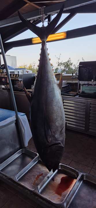 Gastro Hotel Kalithea Horizon Royal