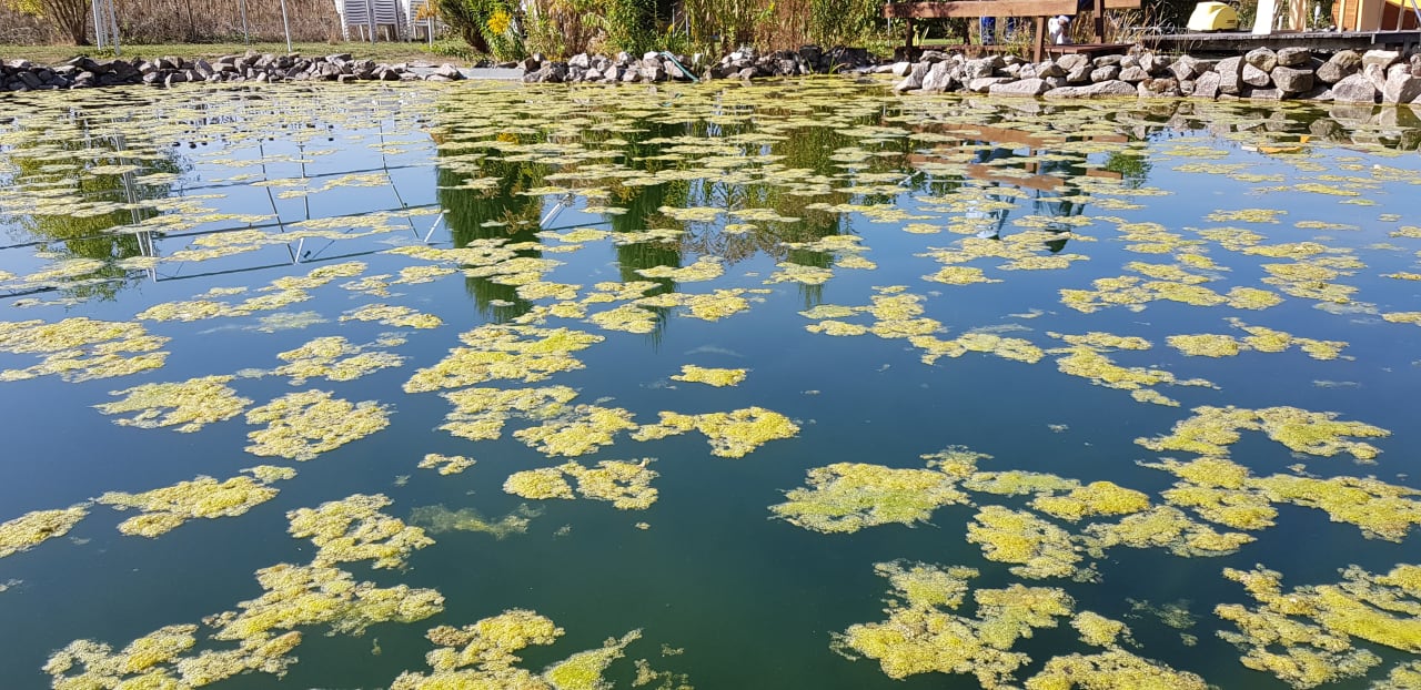 Ausblick Familien - und Waldhotel Villa Waldeck