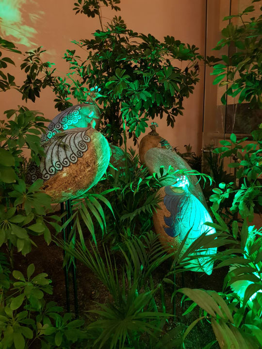 Gartenanlage Alaiye Resort & Spa